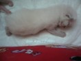 /album/atillo-14-8-2009/a14-8-2009-033-jpg/